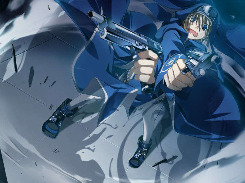 [070525][めろめろキュート] ドラクリウス 529/1211 