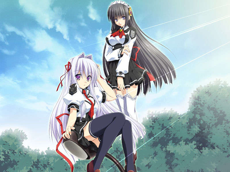 [070525][めろめろキュート] ドラクリウス 554/1211 