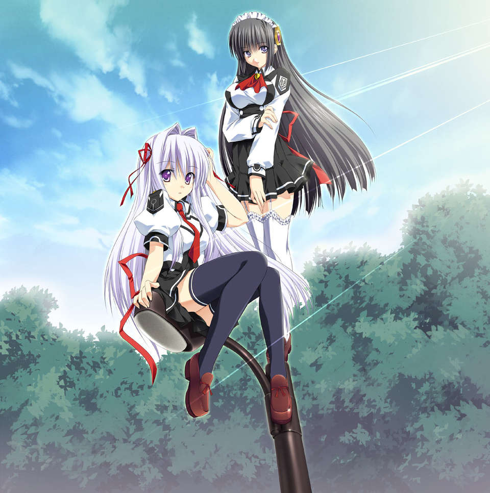 [070525][めろめろキュート] ドラクリウス 557/1211 