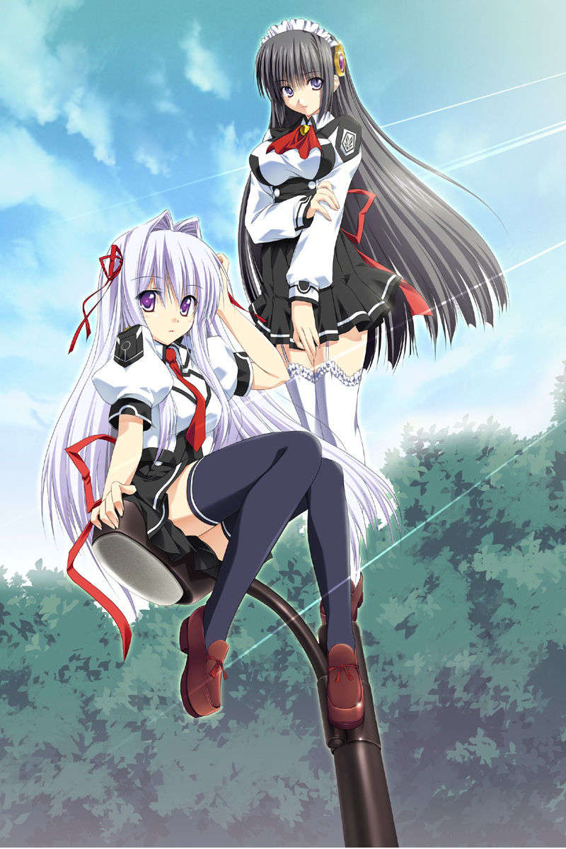 [070525][めろめろキュート] ドラクリウス 558/1211 