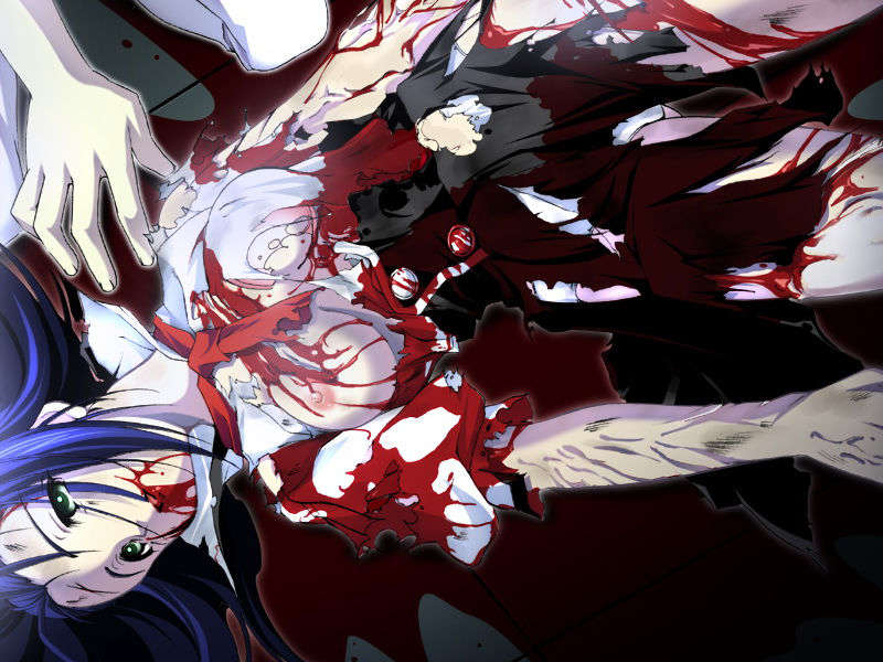 [070525][めろめろキュート] ドラクリウス 559/1211 