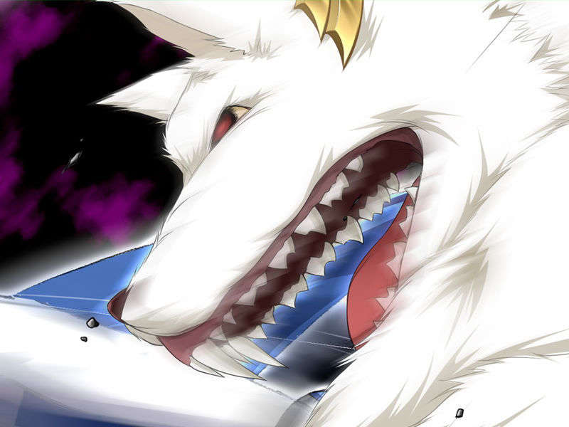 [070525][めろめろキュート] ドラクリウス 573/1211 