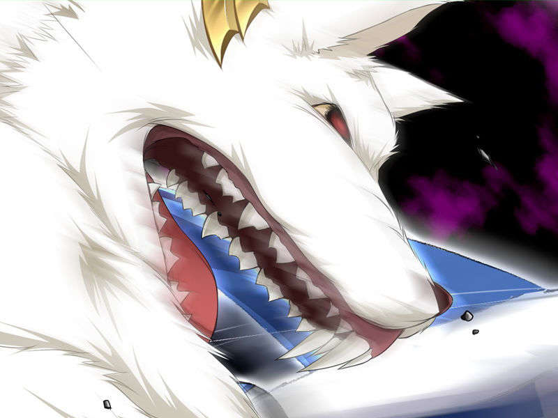 [070525][めろめろキュート] ドラクリウス 574/1211 