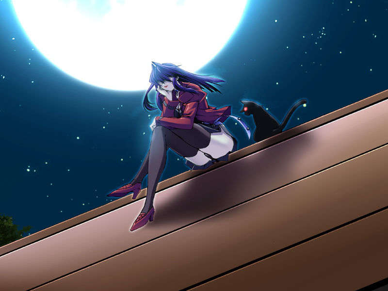 [070525][めろめろキュート] ドラクリウス 606/1211 