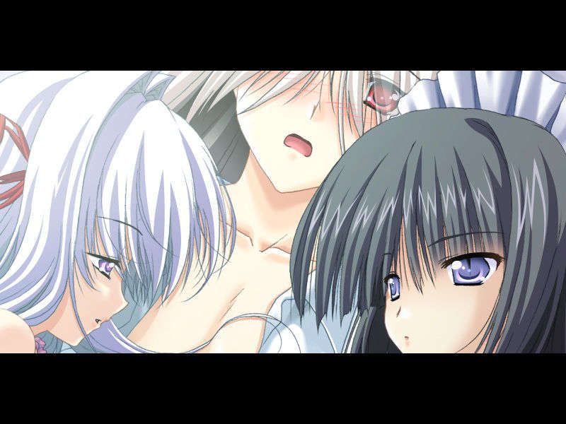 [070525][めろめろキュート] ドラクリウス 624/1211 