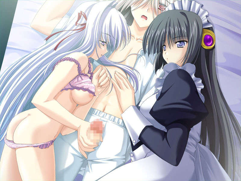 [070525][めろめろキュート] ドラクリウス 627/1211 