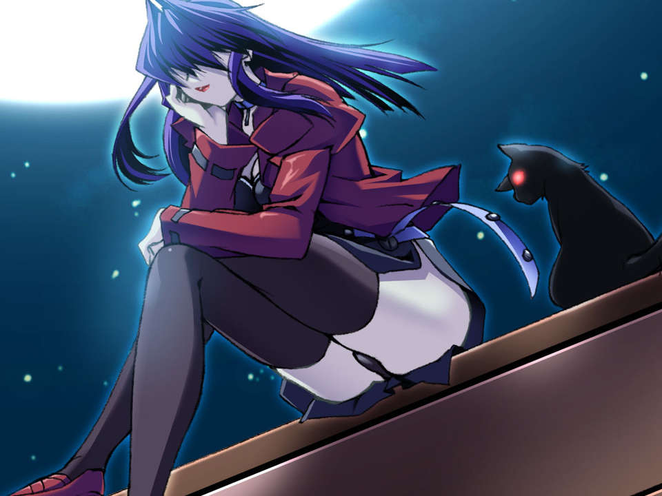 [070525][めろめろキュート] ドラクリウス 644/1211 