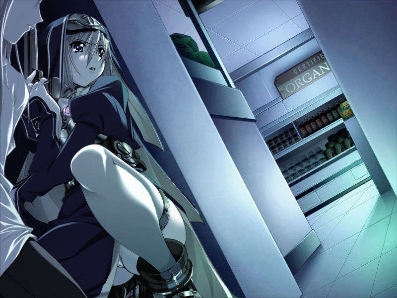 [070525][めろめろキュート] ドラクリウス 682/1211 