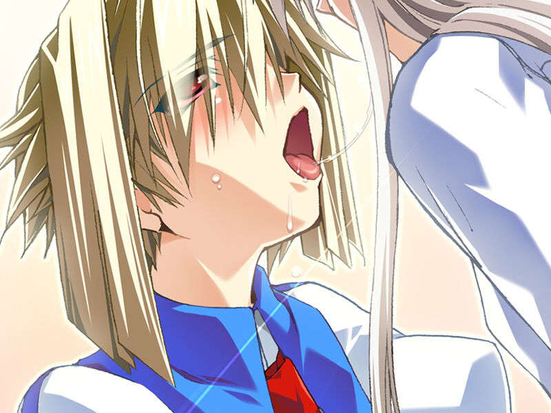 [070525][めろめろキュート] ドラクリウス 699/1211 