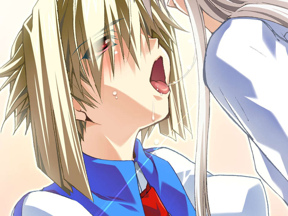 [070525][めろめろキュート] ドラクリウス 700/1211 