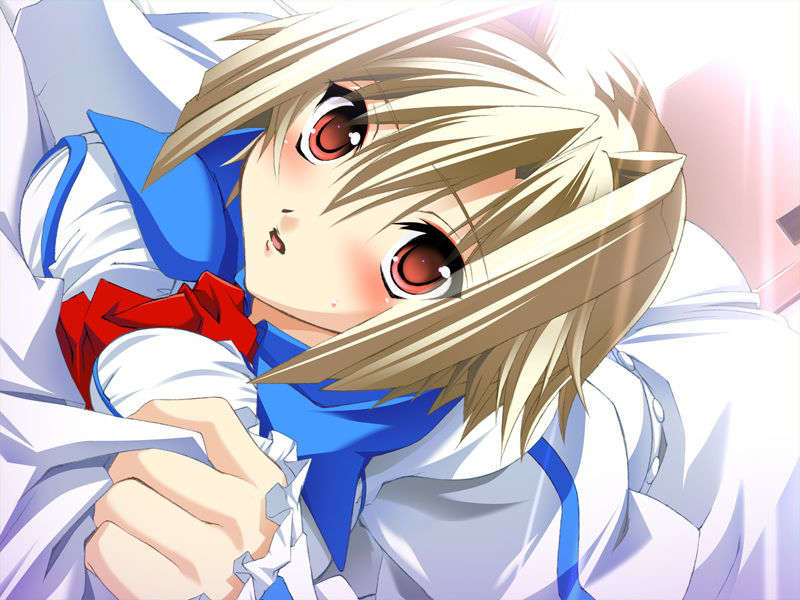 [070525][めろめろキュート] ドラクリウス 701/1211 