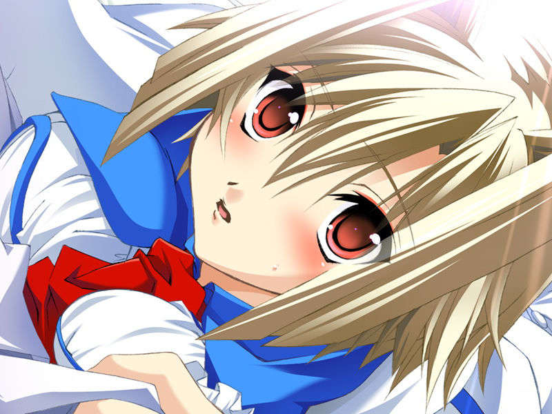 [070525][めろめろキュート] ドラクリウス 702/1211 