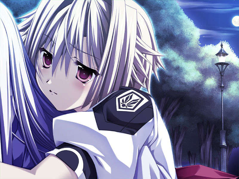 [070525][めろめろキュート] ドラクリウス 729/1211 