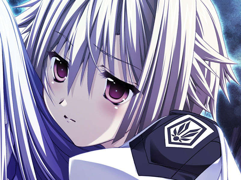 [070525][めろめろキュート] ドラクリウス 732/1211 