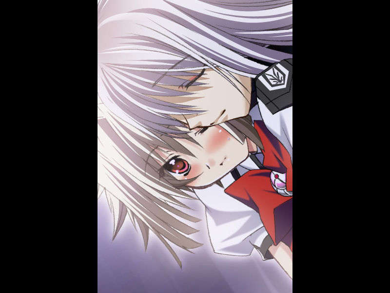 [070525][めろめろキュート] ドラクリウス 736/1211 