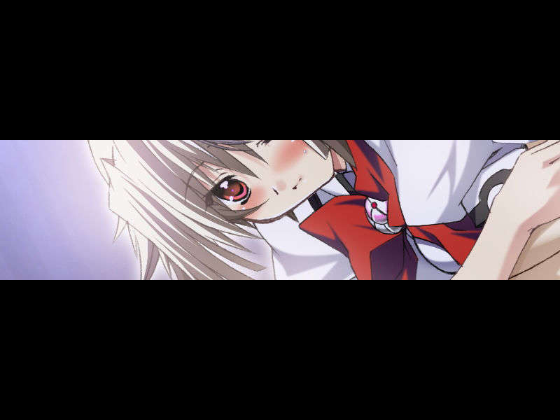 [070525][めろめろキュート] ドラクリウス 738/1211 