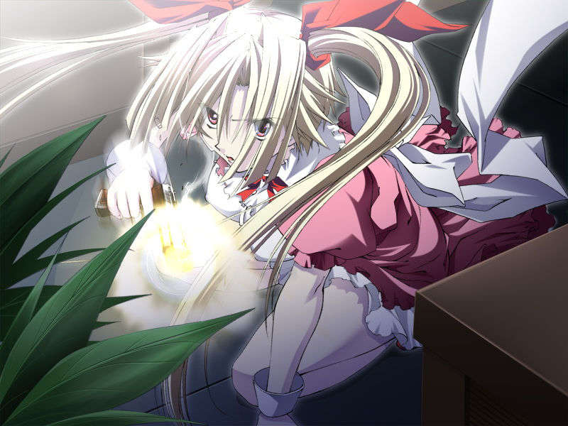 [070525][めろめろキュート] ドラクリウス 773/1211 