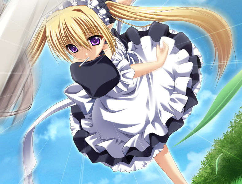 [070525][めろめろキュート] ドラクリウス 785/1211 