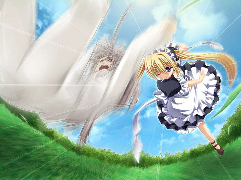 [070525][めろめろキュート] ドラクリウス 786/1211 