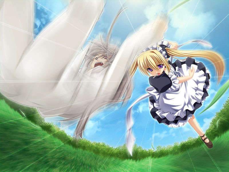 [070525][めろめろキュート] ドラクリウス 796/1211 