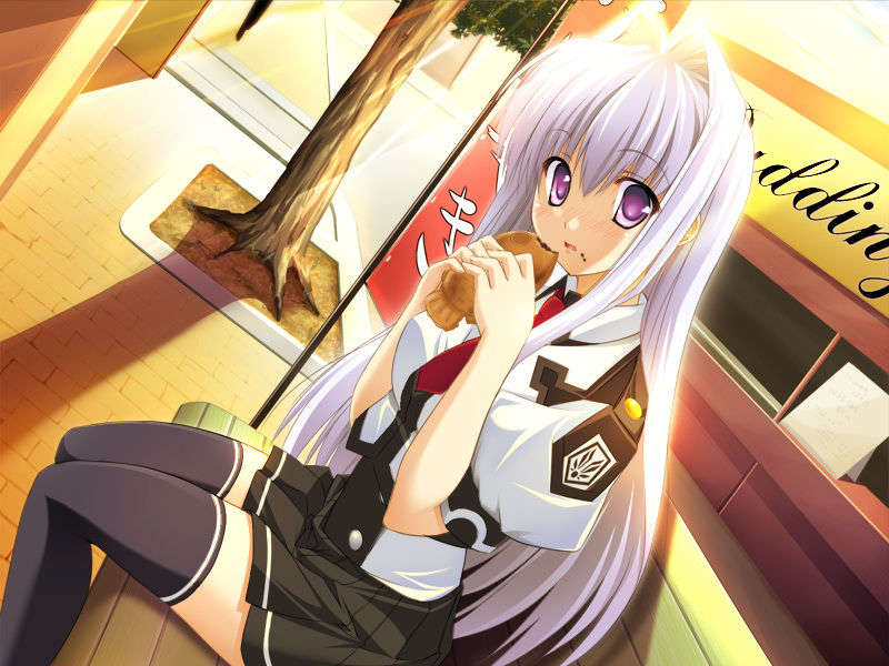 [070525][めろめろキュート] ドラクリウス 804/1211 