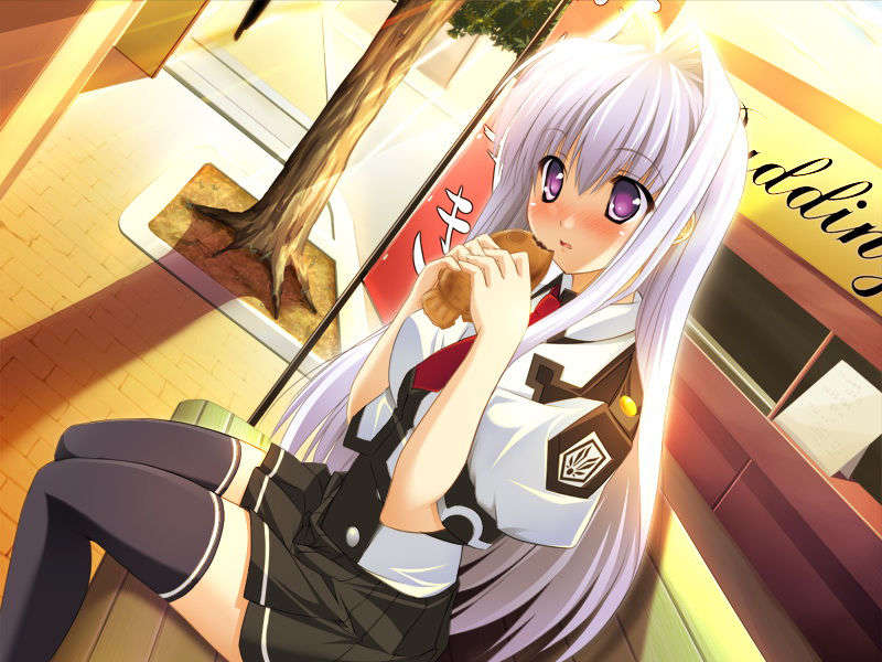 [070525][めろめろキュート] ドラクリウス 806/1211 