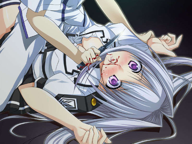 [070525][めろめろキュート] ドラクリウス 842/1211 