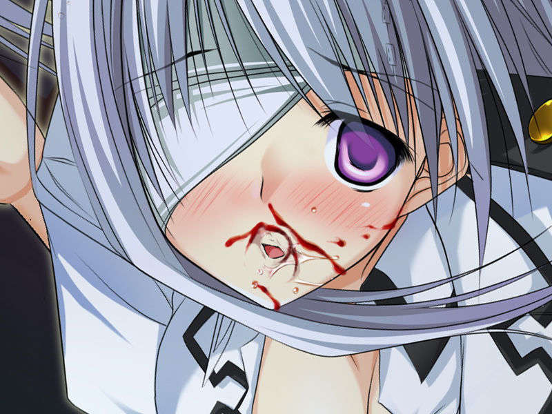 [070525][めろめろキュート] ドラクリウス 849/1211 