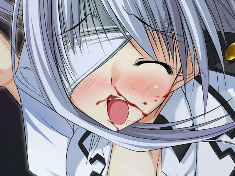 [070525][めろめろキュート] ドラクリウス 850/1211 