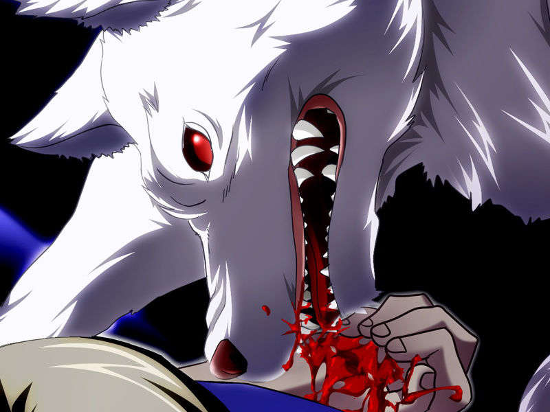 [070525][めろめろキュート] ドラクリウス 852/1211 