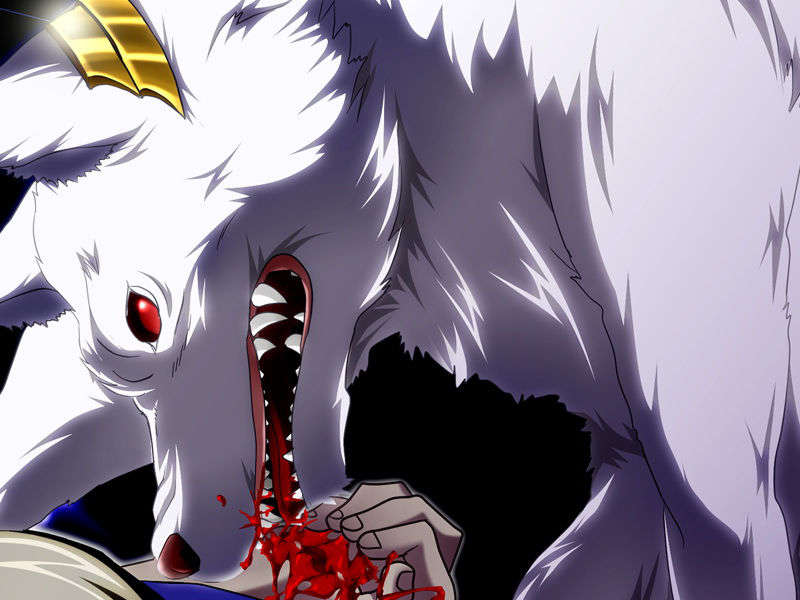 [070525][めろめろキュート] ドラクリウス 855/1211 