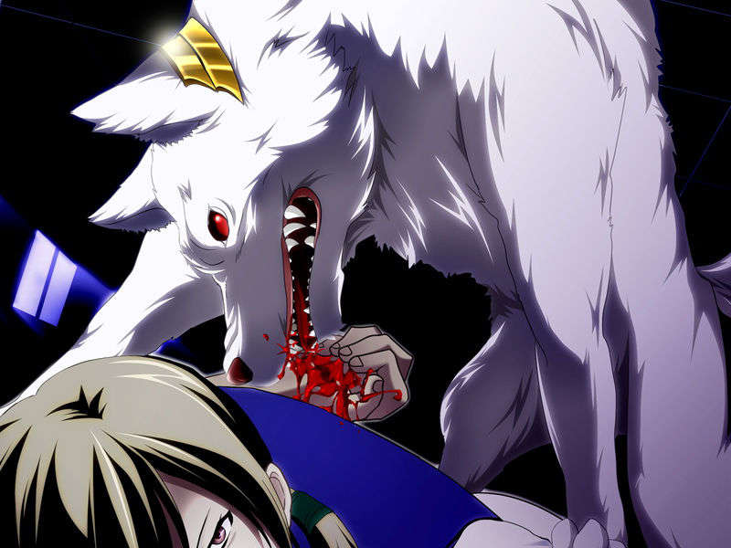 [070525][めろめろキュート] ドラクリウス 856/1211 