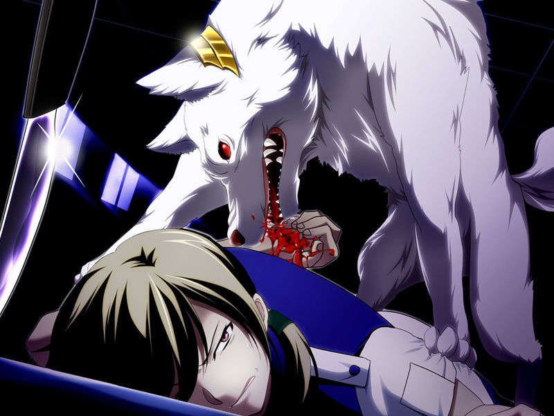 [070525][めろめろキュート] ドラクリウス 858/1211 