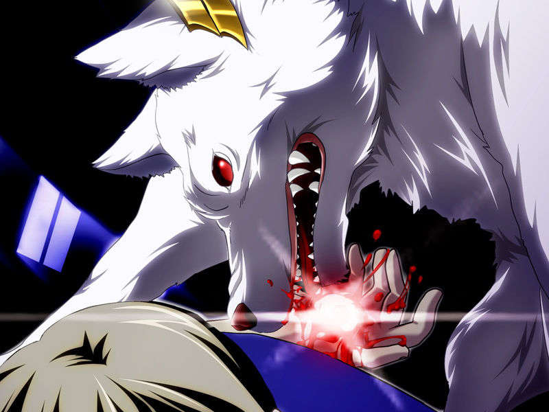 [070525][めろめろキュート] ドラクリウス 861/1211 