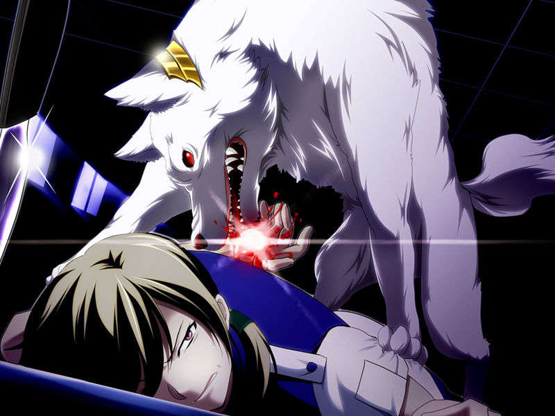 [070525][めろめろキュート] ドラクリウス 862/1211 