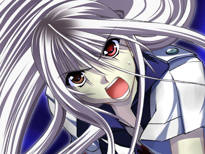 [070525][めろめろキュート] ドラクリウス 878/1211 