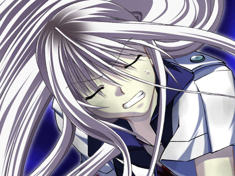 [070525][めろめろキュート] ドラクリウス 879/1211 