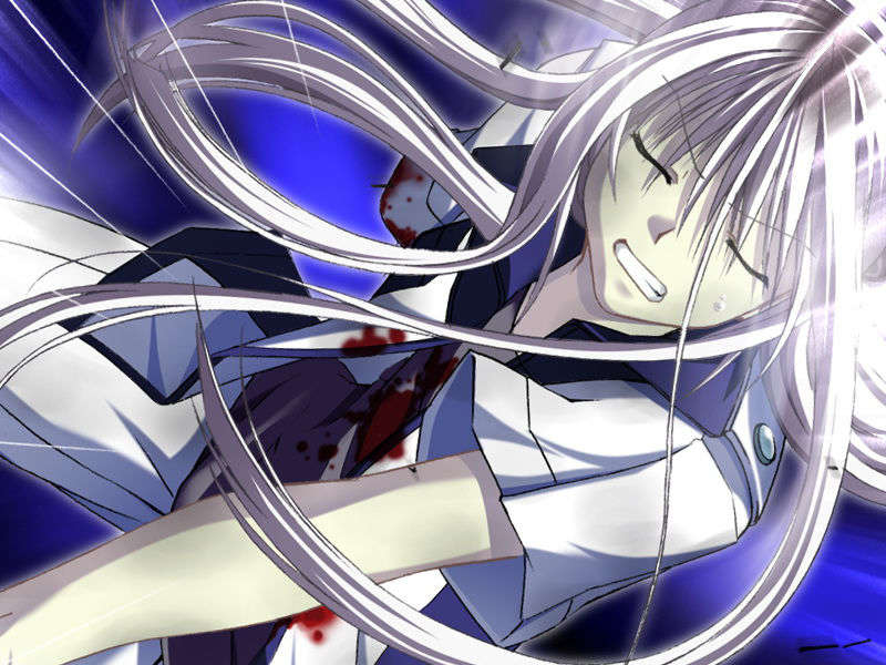 [070525][めろめろキュート] ドラクリウス 881/1211 