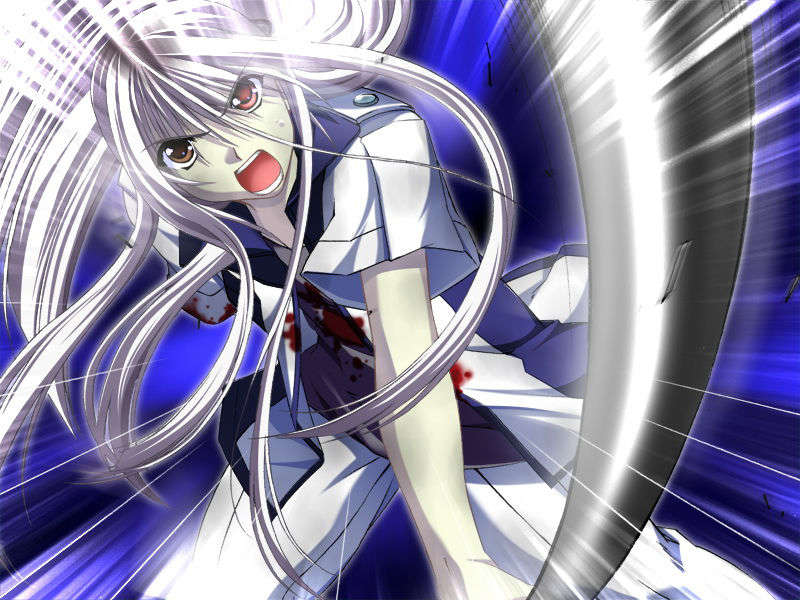 [070525][めろめろキュート] ドラクリウス 883/1211 