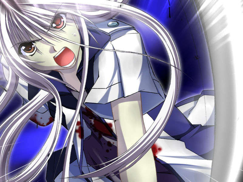 [070525][めろめろキュート] ドラクリウス 884/1211 