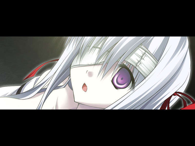 [070525][めろめろキュート] ドラクリウス 891/1211 