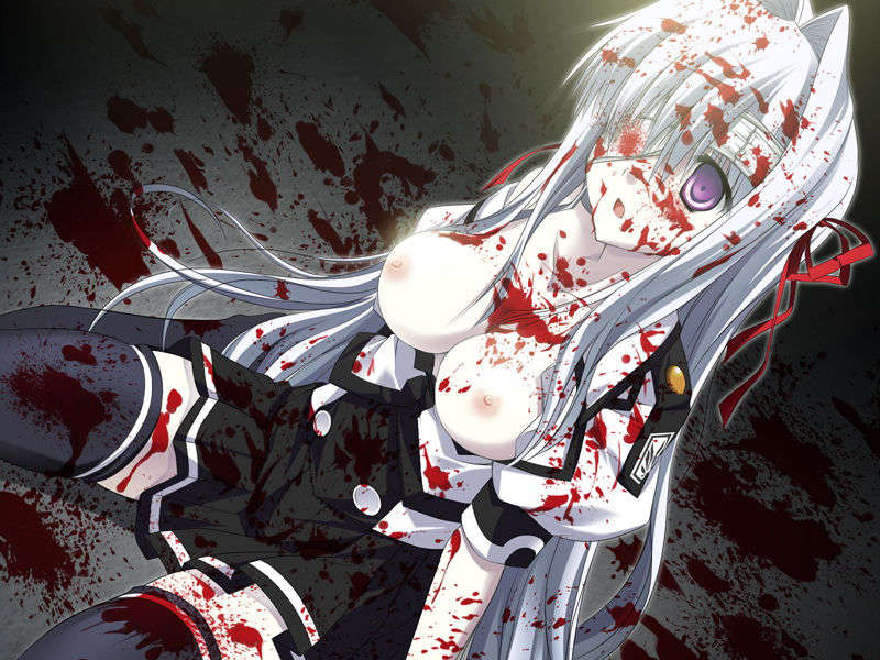 [070525][めろめろキュート] ドラクリウス 893/1211 