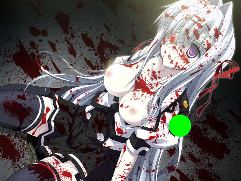 [070525][めろめろキュート] ドラクリウス 894/1211 