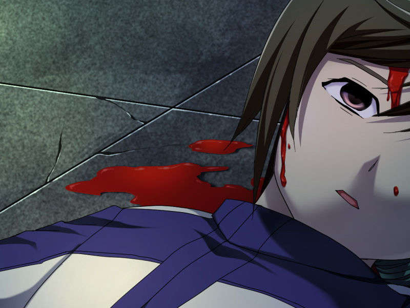 [070525][めろめろキュート] ドラクリウス 895/1211 