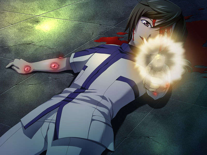 [070525][めろめろキュート] ドラクリウス 904/1211 