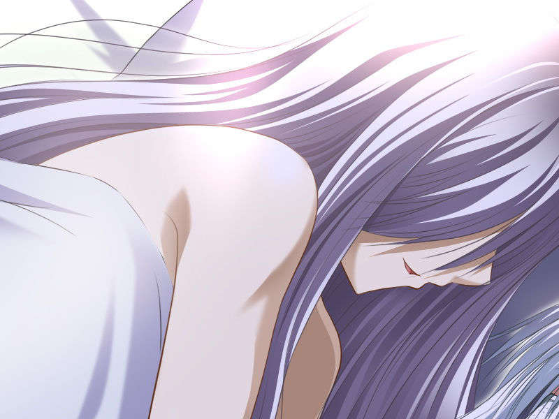 [070525][めろめろキュート] ドラクリウス 911/1211 