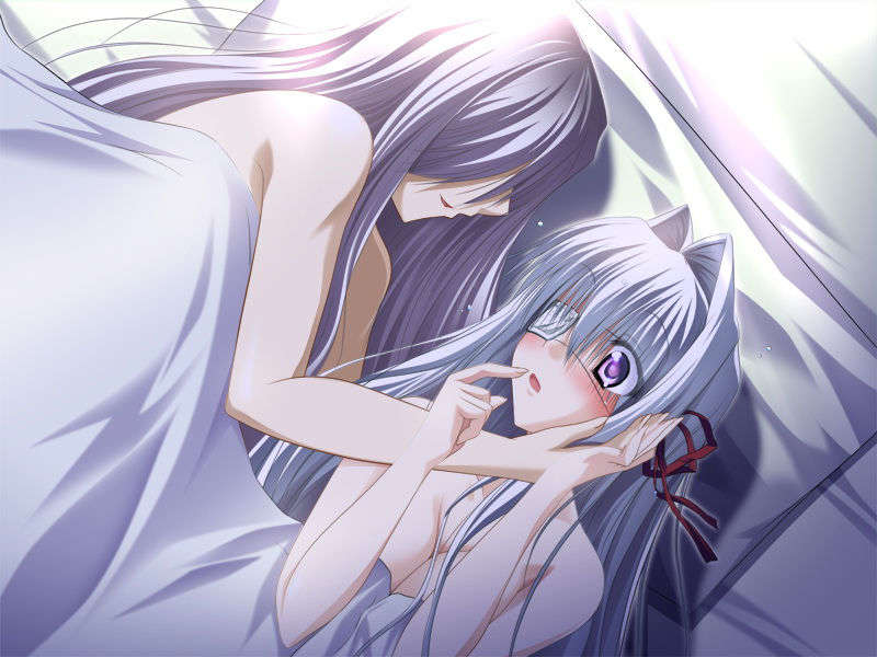 [070525][めろめろキュート] ドラクリウス 915/1211 