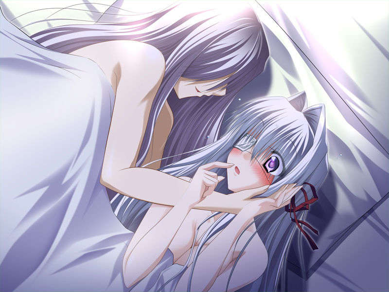 [070525][めろめろキュート] ドラクリウス 916/1211 