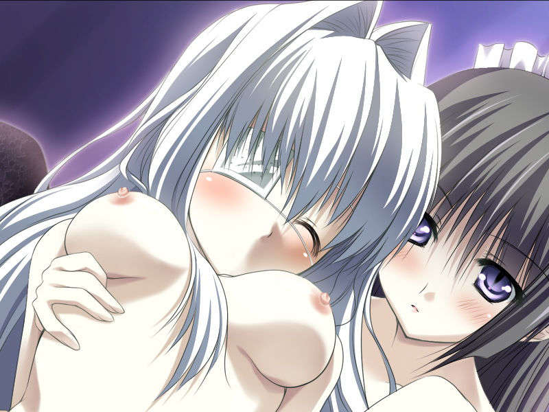 [070525][めろめろキュート] ドラクリウス 938/1211 