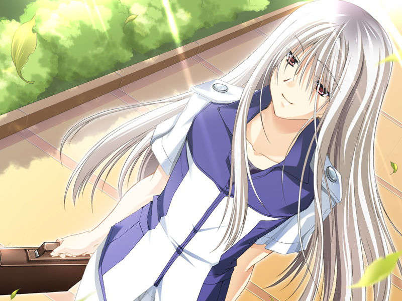 [070525][めろめろキュート] ドラクリウス 973/1211 